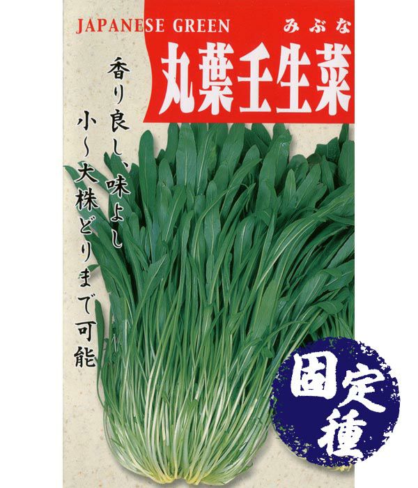 丸葉壬生菜（みぶなの種）【固定種】|野菜のタネ専門通販サイト|アサヒのぐるたね