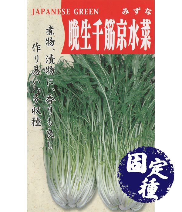 晩生千筋京水菜(ミズナの種）【固定種】|野菜のタネ専門通販サイト|アサヒのぐるたね