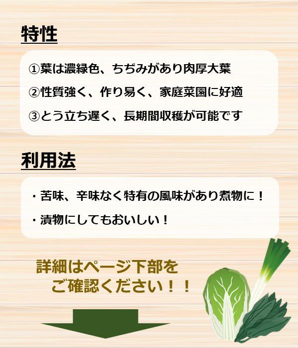 かつお菜(菜類の種）【固定種】|野菜のタネ専門通販サイト|アサヒのぐるたね