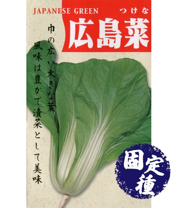 広島菜(菜類の種）【固定種】|固定種 在来種に強い 野菜のタネ専門通販サイト|アサヒのぐるたね