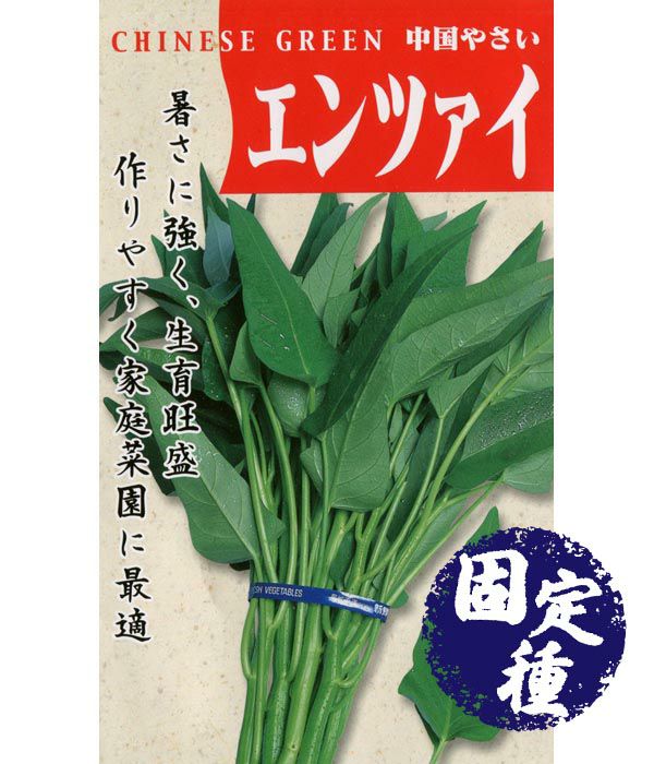 エンサイ(空心菜の種）(葉菜類の種）【固定種】|固定種 在来種に強い