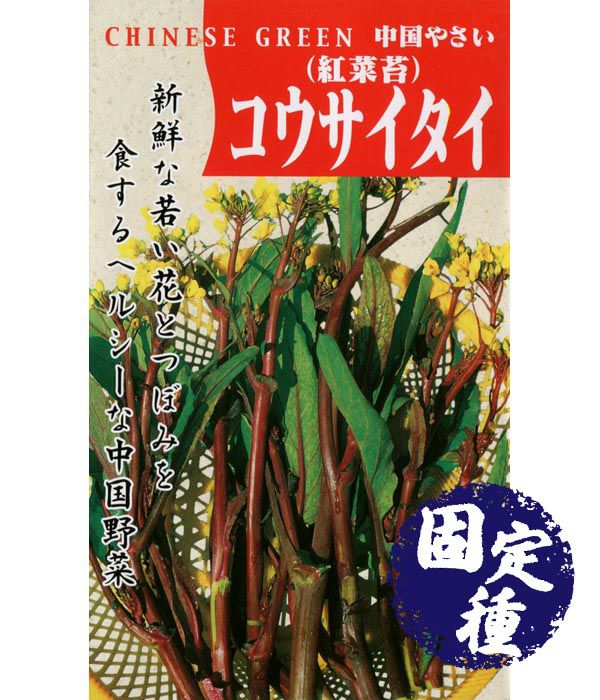 紅菜苔（ｺｳｻｲﾀｲの種）(葉菜類の種）【固定種】|野菜のタネ専門通販サイト|アサヒのぐるたね