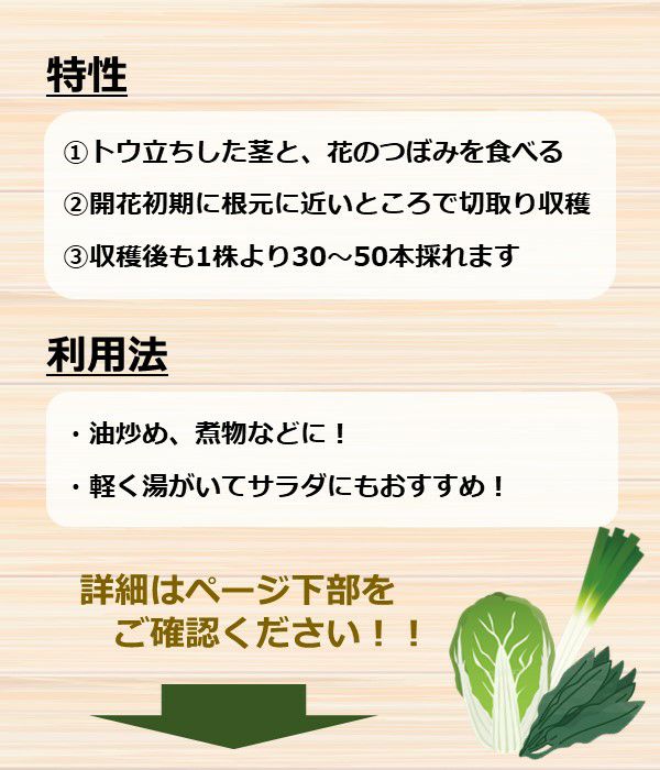 紅菜苔（ｺｳｻｲﾀｲの種）(葉菜類の種）【固定種】|野菜のタネ専門通販サイト|アサヒのぐるたね