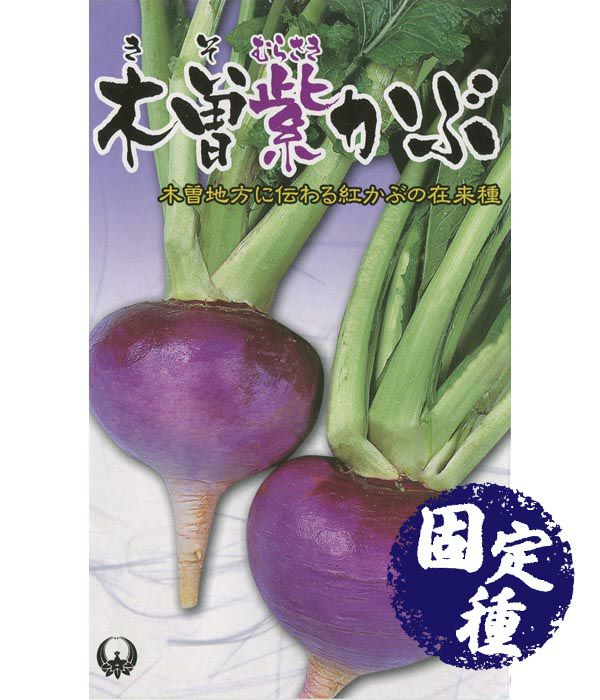 木曽紫蕪（かぶの種）【固定種】|固定種 在来種に強い 野菜のタネ専門通販サイト|アサヒのぐるたね