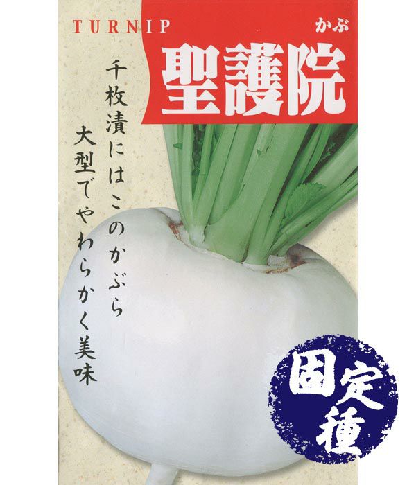 聖護院大丸蕪 かぶの種 固定種 野菜のタネ専門通販サイト アサヒのぐるたね