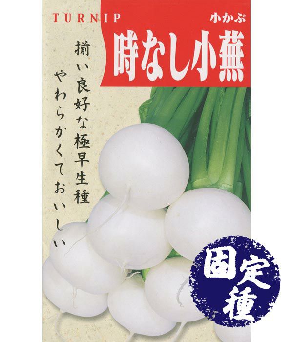 時なし小蕪（かぶの種）【固定種】