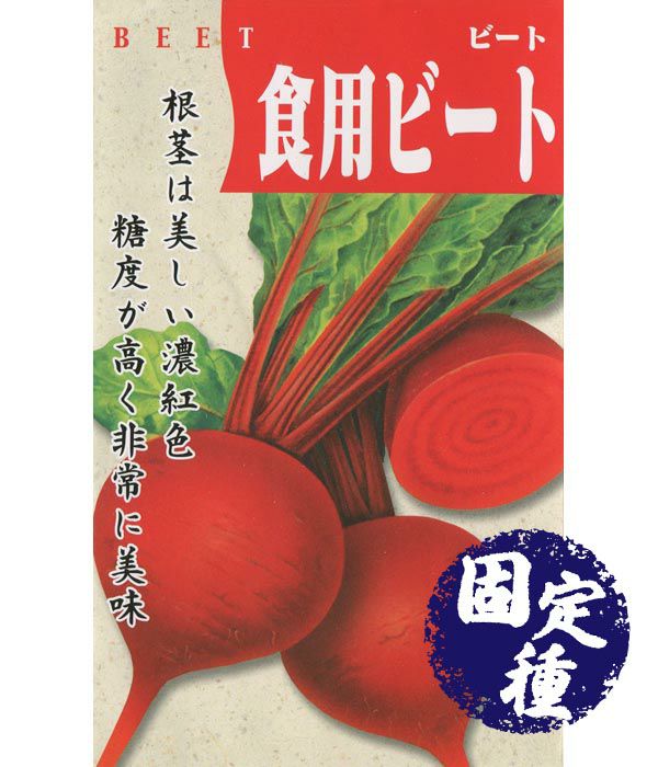 デトロイドダークレッド ビーツの種 固定種 野菜のタネ専門通販サイト アサヒのぐるたね