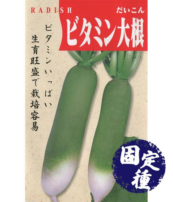 ビタミン大根(中国青長大根の種）【固定種】|固定種 在来種に強い 野菜のタネ専門通販サイト|アサヒのぐるたね