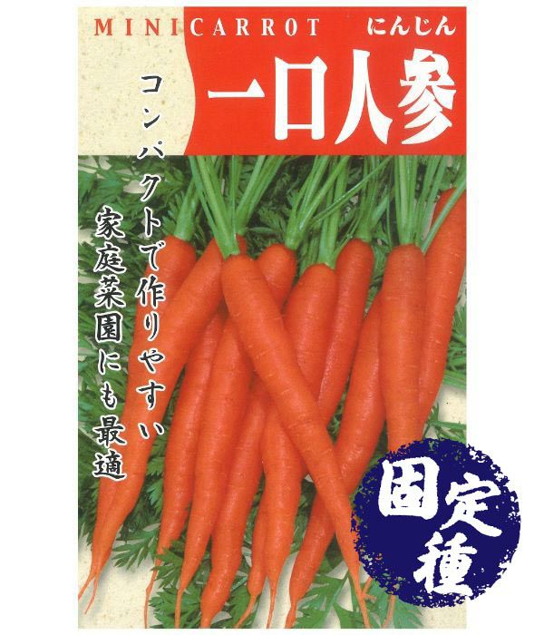 時なし五寸人参（にんじんの種）【固定種】|固定種 在来種に強い 野菜 