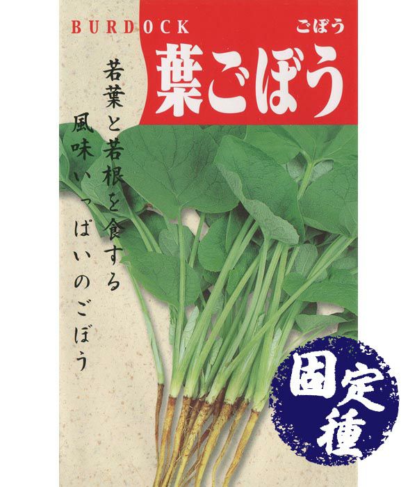 葉牛蒡 ゴボウの種 固定種 野菜のタネ専門通販サイト アサヒのぐるたね