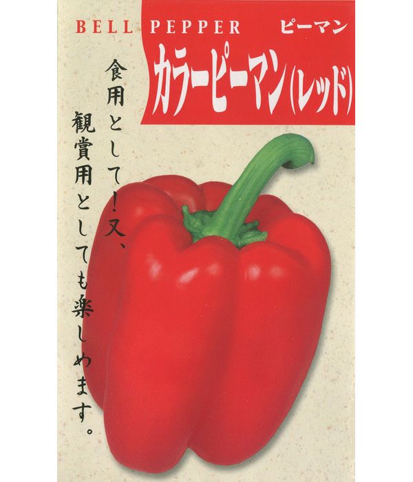 一代交配 カラーピーマン レッド パプリカの種 野菜のタネ専門通販サイト アサヒのぐるたね