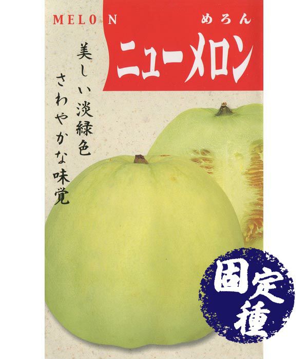 ニューメロン（みずほ系）（メロンの種）【固定種】|固定種 在来種に強い 野菜のタネ専門通販サイト|アサヒのぐるたね