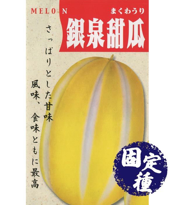 銀泉まくわ瓜 まくわうりの種 固定種 野菜のタネ専門通販サイト アサヒのぐるたね