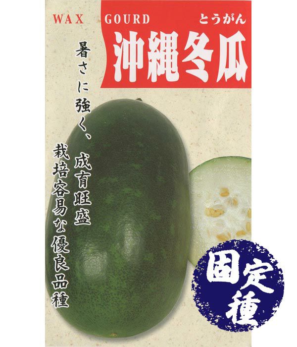 沖縄冬瓜（とうがんの種）【固定種】|固定種 在来種に強い 野菜のタネ専門通販サイト|アサヒのぐるたね