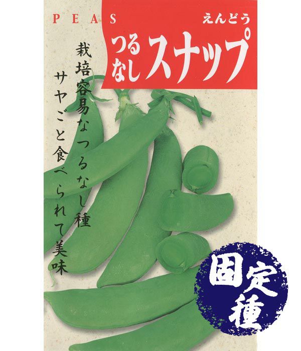 つるなしスナップえんどう（スナップエンドウの種）【固定種】|固定種 在来種に強い 野菜のタネ専門通販サイト|アサヒのぐるたね