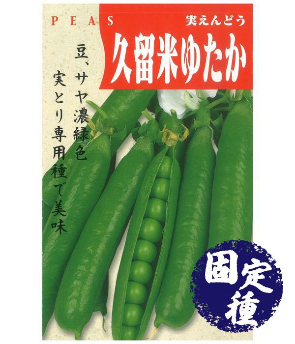 久留米ゆたか実えんどう（実エンドウの種）【固定種】|固定種 在来種に強い 野菜のタネ専門通販サイト|アサヒのぐるたね