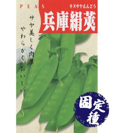 改良仏国さやえんどう（サヤエンドウの種）【固定種】|固定種 在来種に