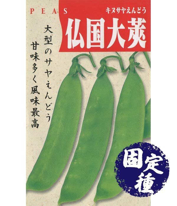 改良仏国さやえんどう（サヤエンドウの種）【固定種】|固定種 在来種に強い 野菜のタネ専門通販サイト|アサヒのぐるたね