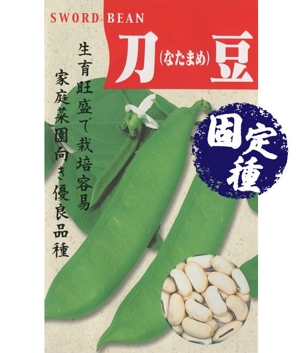 白大刀豆(なた豆の種)【固定種】|固定種 在来種に強い 野菜の 白大刀豆(なた豆の種)【固定種】|固定種 在来種に強い 野菜の