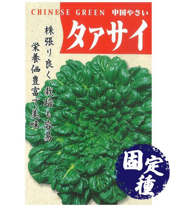 タァサイ（中国野菜の種）【固定種】|固定種 在来種に強い 野菜のタネ専門通販サイト|アサヒのぐるたね