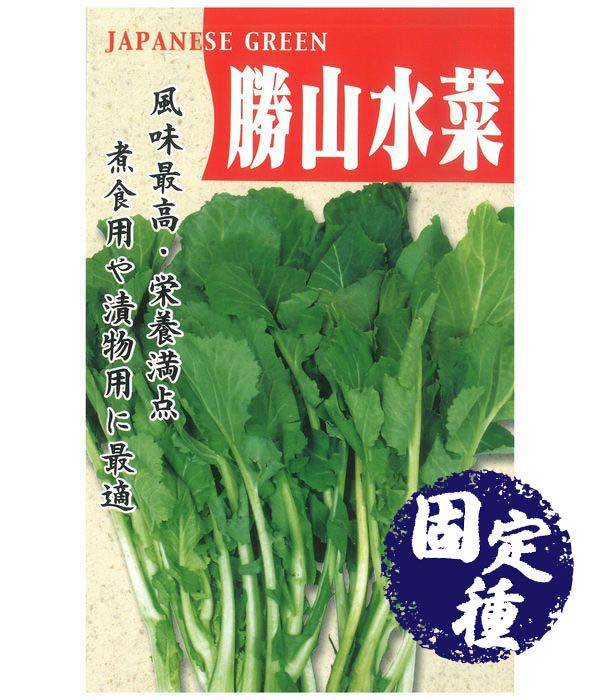 勝山水菜（菜類の種）【固定種】|固定種 在来種に強い 野菜のタネ専門通販サイト|アサヒのぐるたね