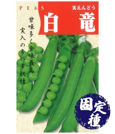 えんどう豆 野菜のタネ専門通販サイト アサヒのぐるたね