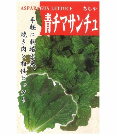 アサヒ育成 赤チマサンチュ(リーフレタスの種）|固定種 在来種に強い 野菜のタネ専門通販サイト|アサヒのぐるたね