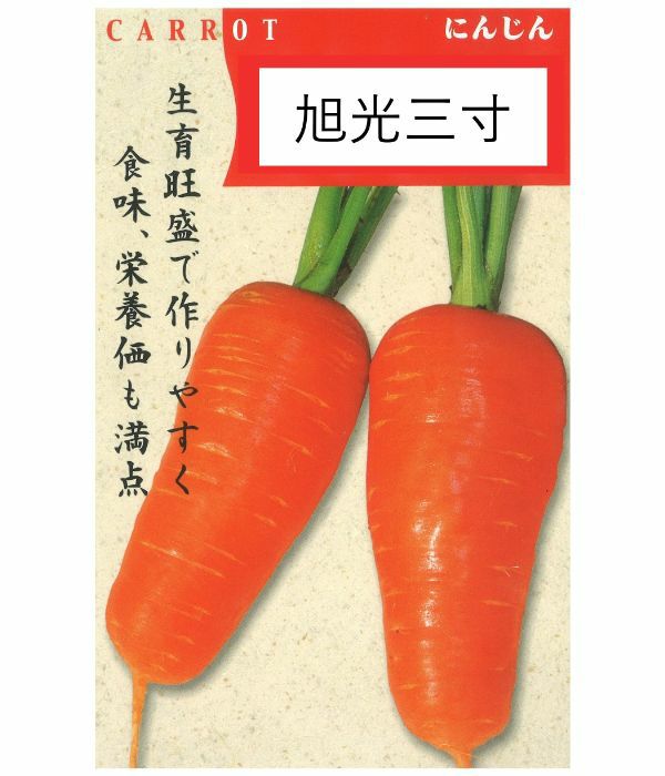 アサヒ育成 旭光三寸人参 にんじんの種 野菜のタネ専門通販サイト アサヒのぐるたね