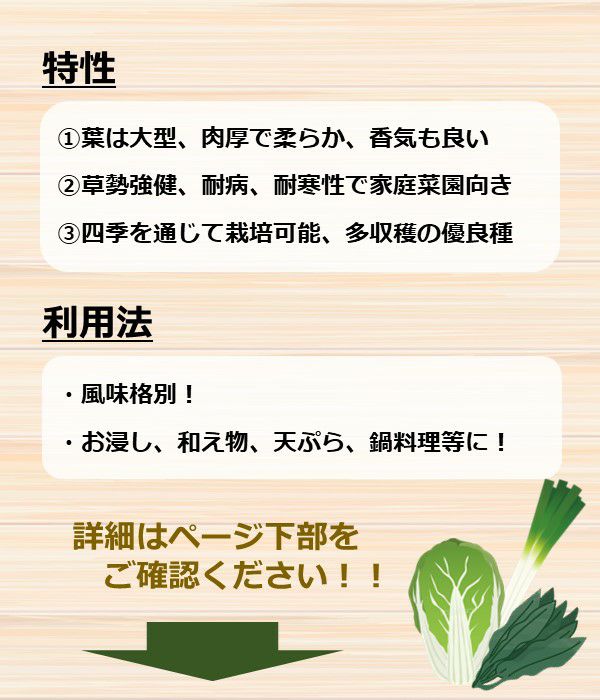 お多福春菊（シュンギクの種）【固定種】|野菜のタネ専門通販サイト|アサヒのぐるたね