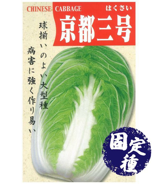 京都三号白菜（ハクサイの種）【固定種】|固定種 在来種に強い 野菜のタネ専門通販サイト|アサヒのぐるたね