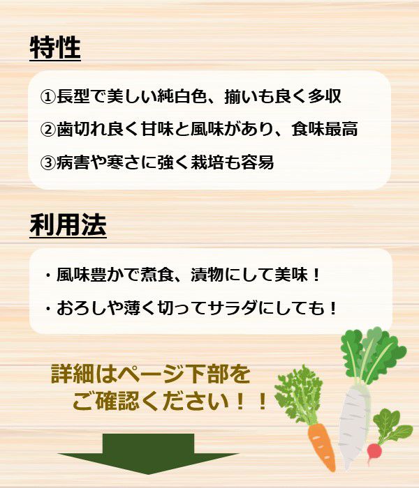 お歳暮 おろしやだいこん様専用 栽培の過程で生まれる【切】を活用し