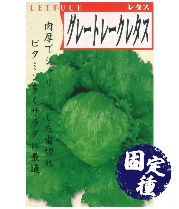 グレートレーク（玉レタスの種）【固定種】