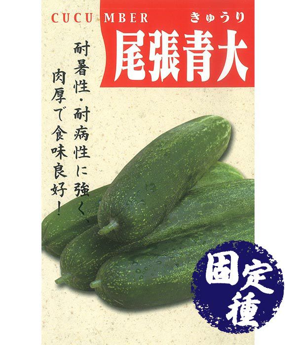 尾張青大胡瓜（キュウリの種）【固定種】|固定種 在来種に強い 野菜のタネ専門通販サイト|アサヒのぐるたね