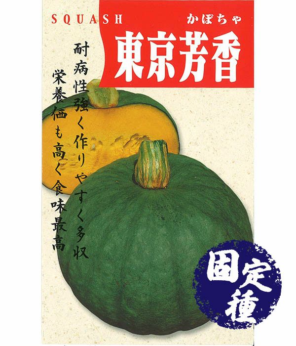 珍しい灰緑色の外皮！ 東京芳香栗かぼちゃ（南瓜の種）【固定種】