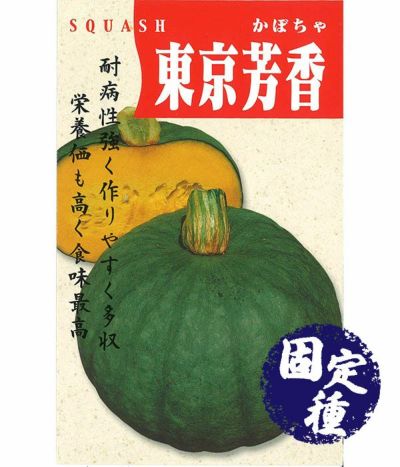 カボチャ|固定種 在来種に強い 野菜のタネ専門通販サイト|アサヒのぐるたね