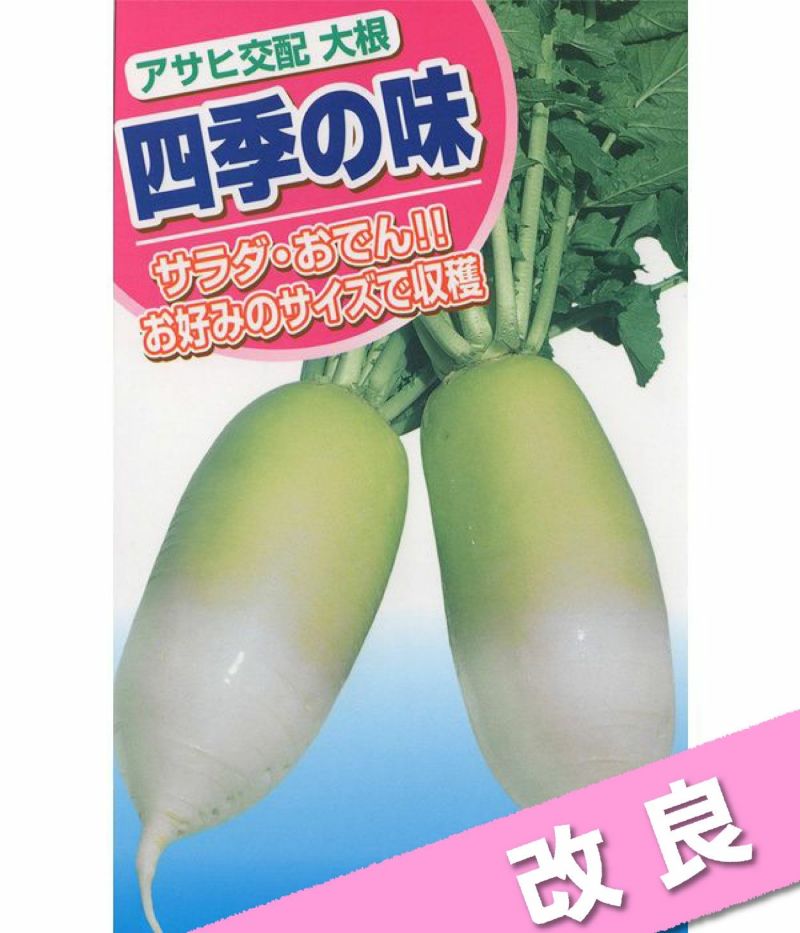 アサヒ交配　改良四季の味（大根の種）
