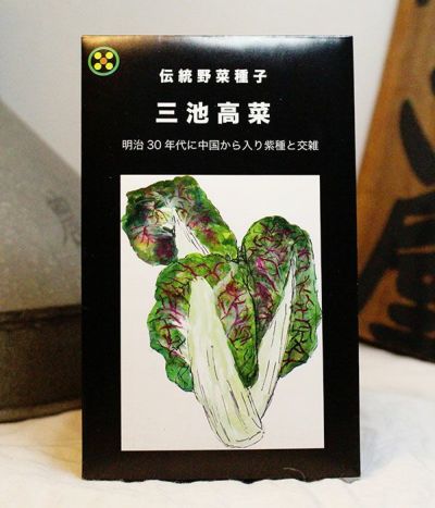 国内産・無消毒】伝統野菜種子シリーズ|固定種 在来種に強い 野菜の