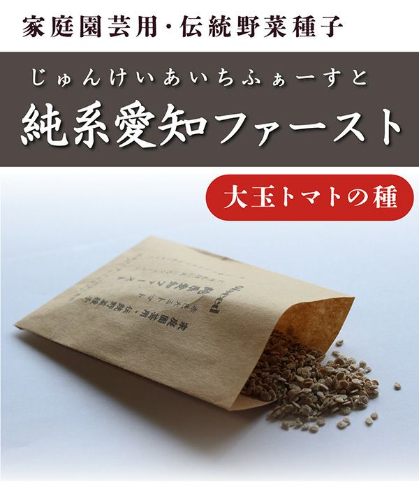 鶴頸種苗 純系愛知ファースト（トマトの種）【国内産・無消毒種子】