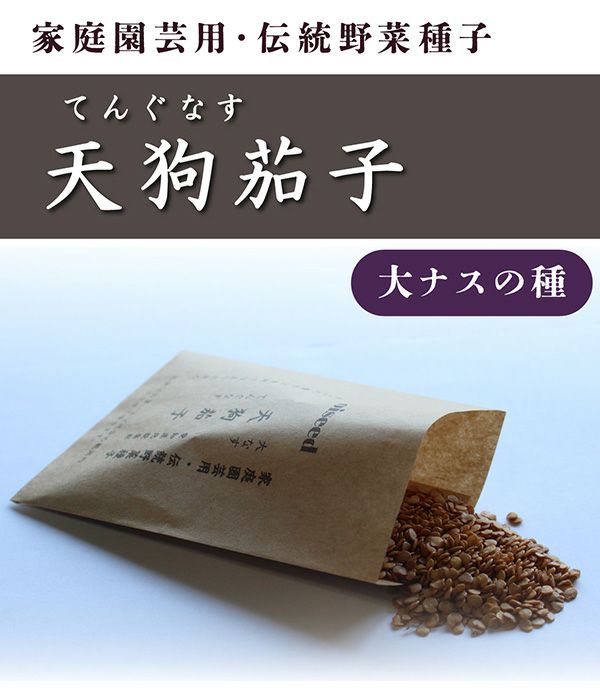 天狗茄子（ナスの種）【国内産・無消毒種子】