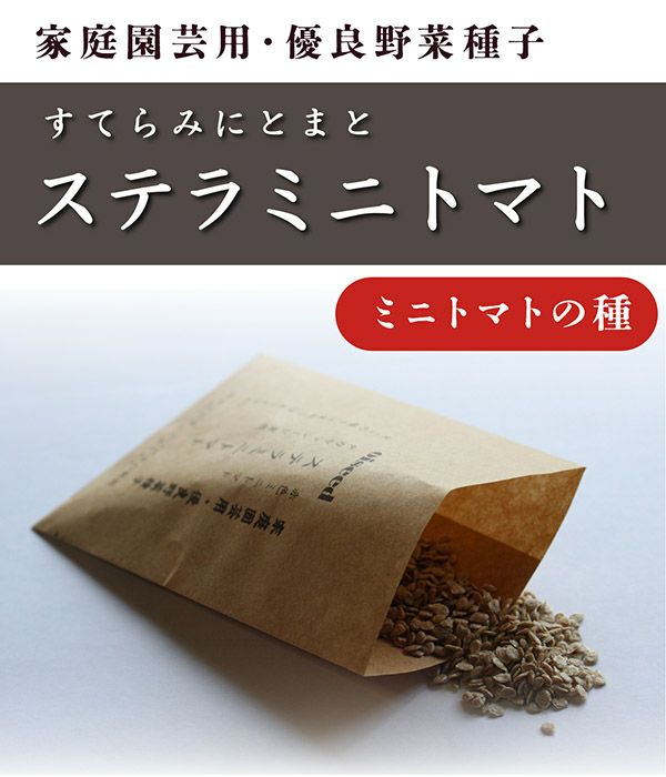 鶴頸種苗 ステラミニトマト（ミニトマトの種）