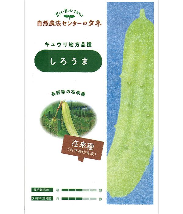 有機種子 しろうま（キュウリの種）【国内産・無消毒種子】|固定種 在