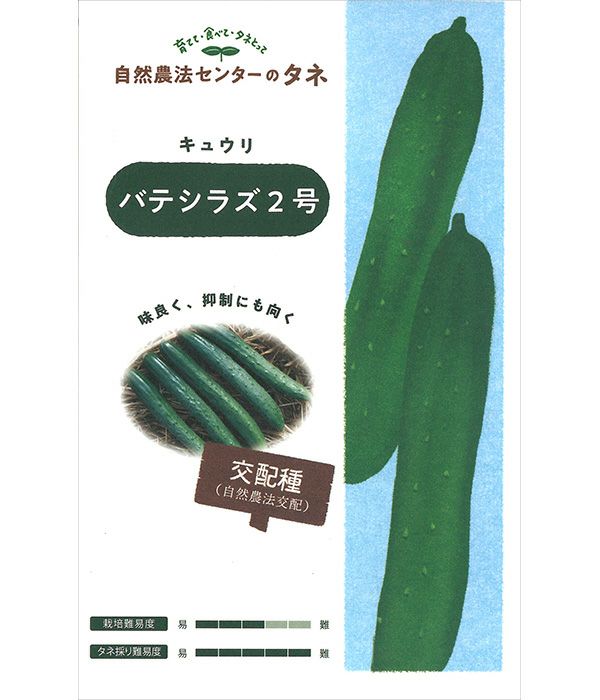 有機種子 バテシラズ2号（キュウリの種）【国内産・無消毒種子】|固定