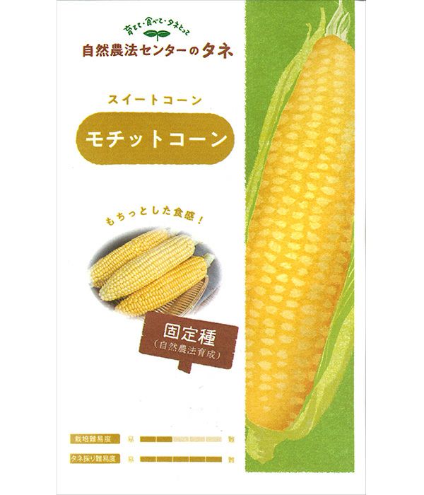 有機種子 モチットコーン（トウモロコシの種）【国内産・無消毒種子】